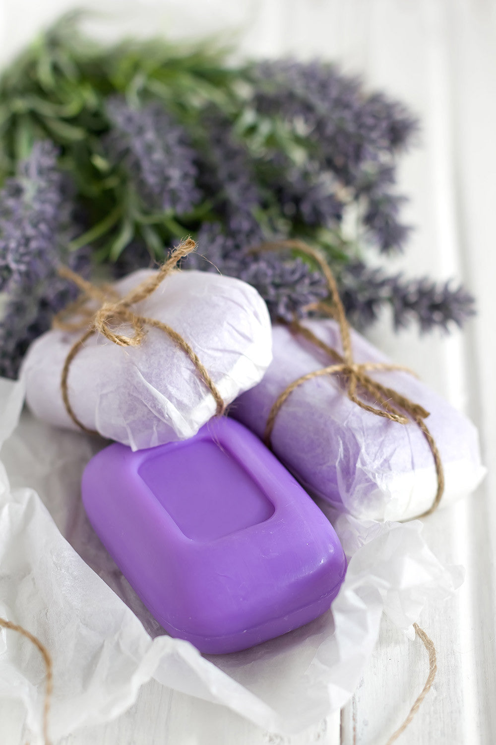 lorem3 Soap Two